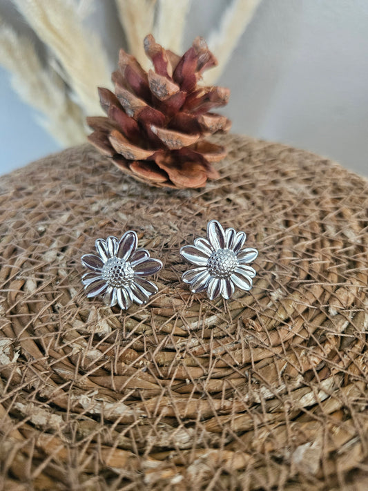 Boucles d'oreilles pince